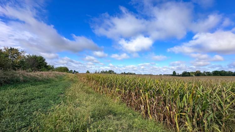 Rural Hendricks County (photo courtesy of Hendricks County Soil & Water Conservation District Facebook page)