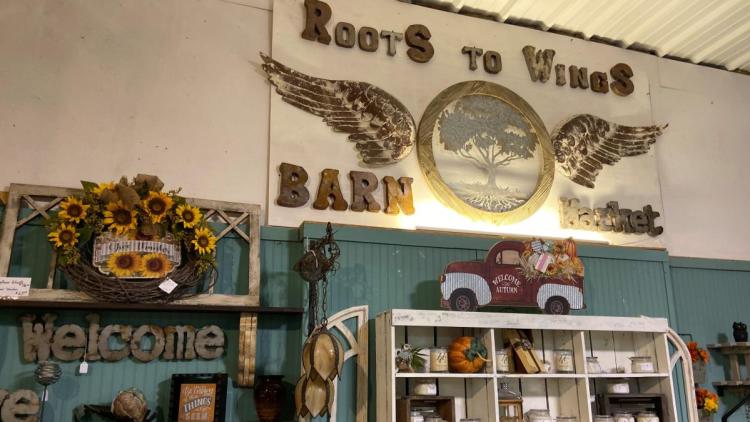 Roots to Wings (Photo Courtesy of Roots to Wings Facebook page)