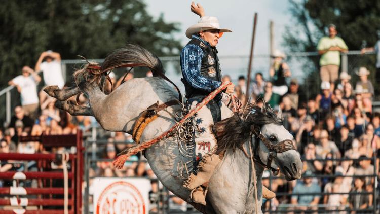 cowboy riding a bucking horse