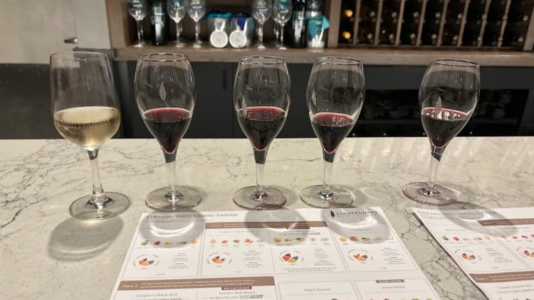 Wine Tasting at Cooper's Hawk in Avon