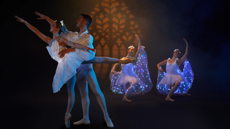 Sleeping Beauty Dance & Light Show will have two performances on July 25.