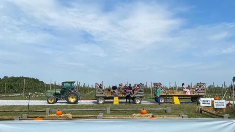Enjoy a tractor-pulled hayride through Beasley’s Orchard during the festival