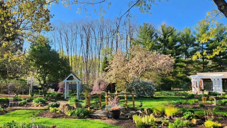 Avon Gardens (Photo Courtesy of Avon Gardens Facebook page)