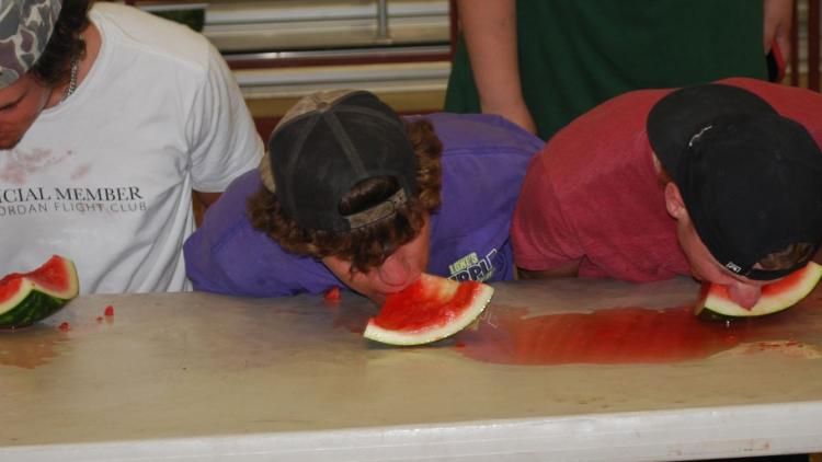 4-H Fair (Photo Courtesy of 4-H Fair website)