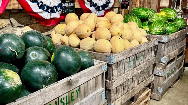 Beasley's Orchard (Photo Courtesy of Beasley's Orchard Facebook page)