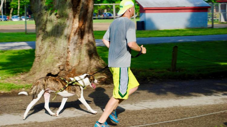 Summer Fun Run Ellis Park Danville