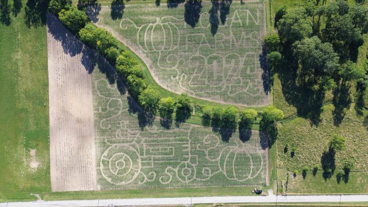Hogan Farms 2024 Maze