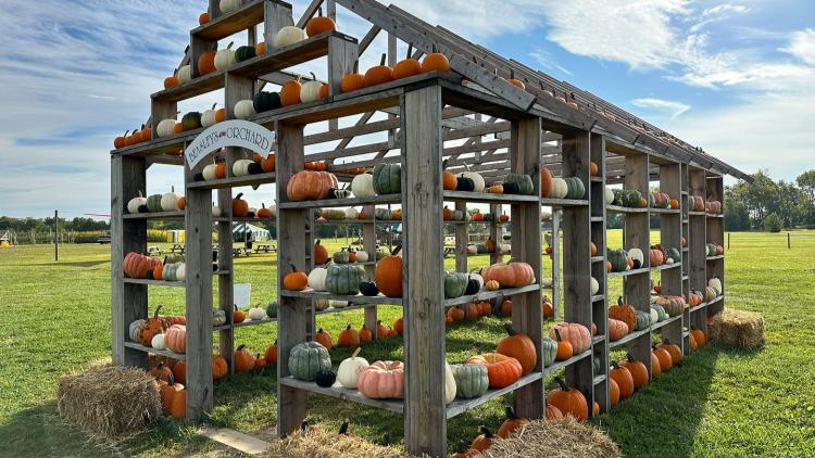 You can find plenty of great photo ops at Beasley's (Photo courtesy of Beasley's Orchard Facebook page)