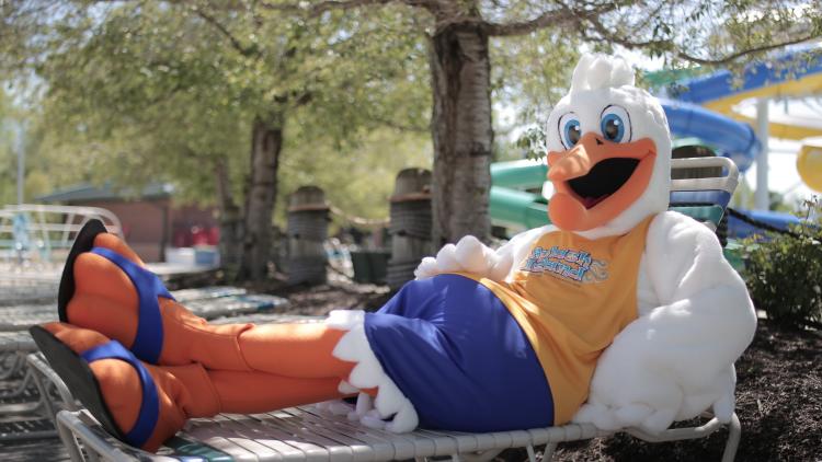 Lounging Around the Park