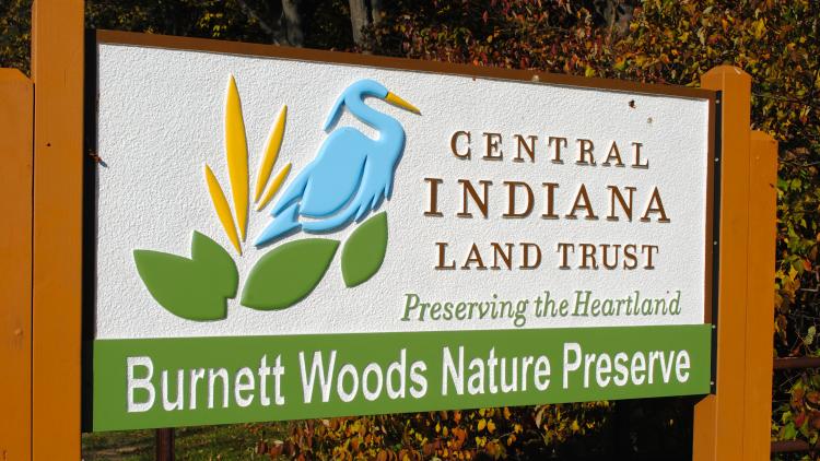 Burnett Woods