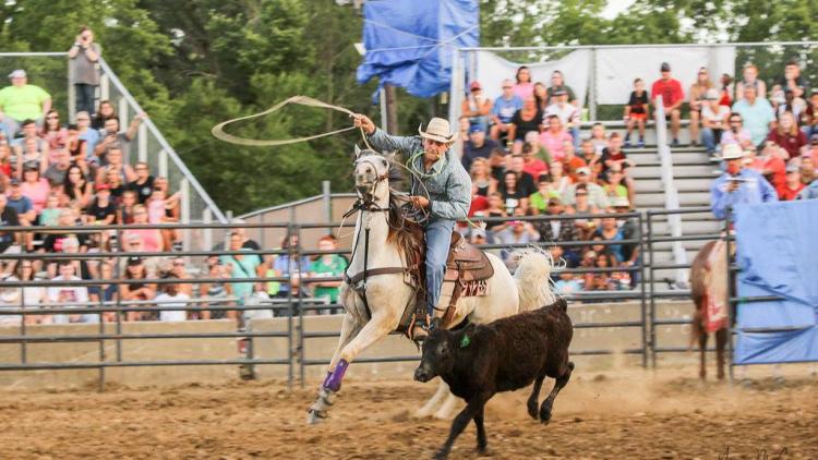 4-H Fair (Photo Courtesy Hendricks County 4-H Fair Facebook page)