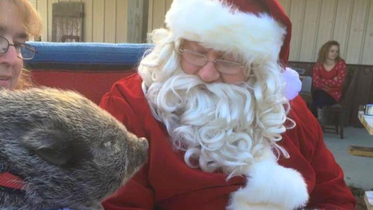 Santa at Natural Valley Ranch