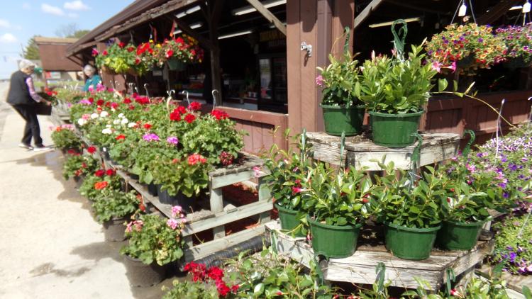 Belleville Farm Market in Clayton, Indiana