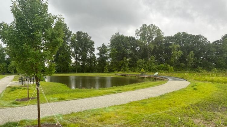 Virgil Park's Pond Complete With A Boardwalk