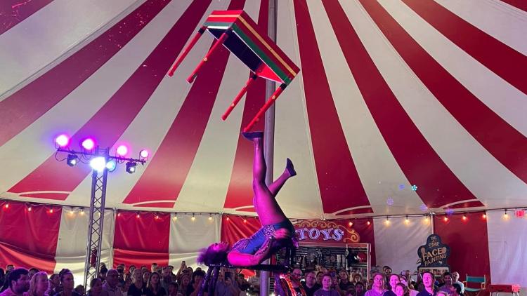 Under the Big Top at The Vernardos Circus