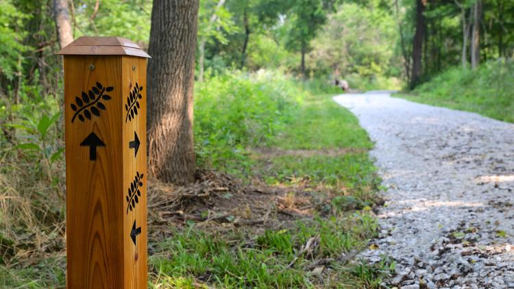 Walnut Walkway in W.S. Gibbs Memorial Park. (Photo by Brad Poreda)