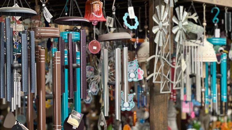 Add some elegance to your garden at Cox's Plant Farm.