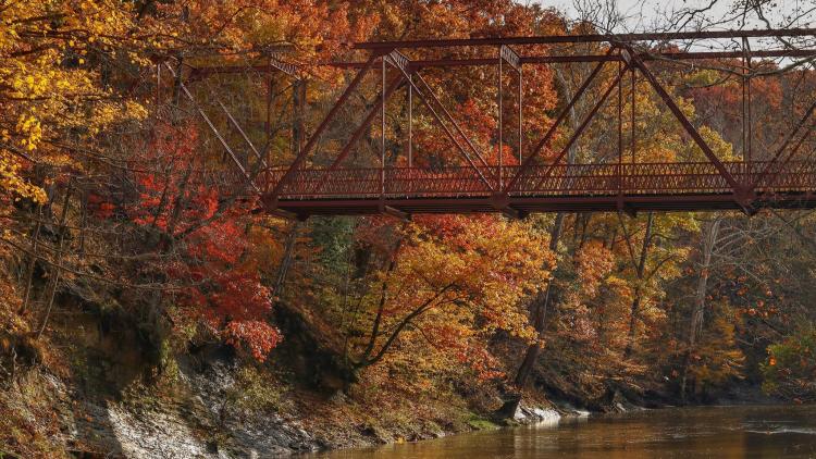 The fall foliage at McCloud Nature Park is spectacular. (Photo by Deb Stukenborg)