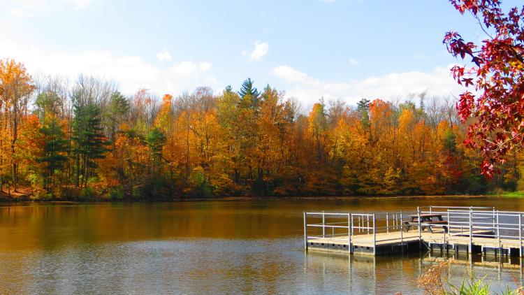 Echo Hollow Nature Park