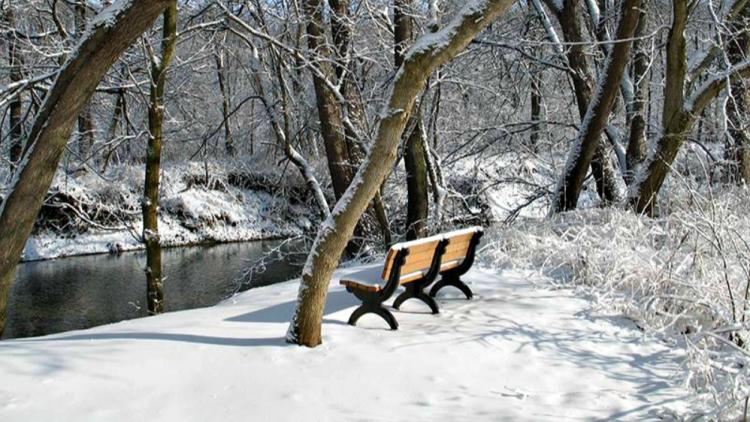 Winter can be beautiful at our local parks