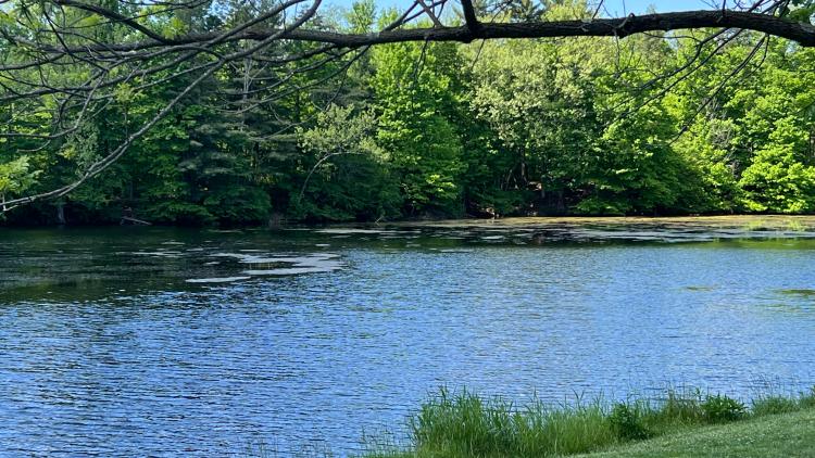 Echo Hollow Nature Park