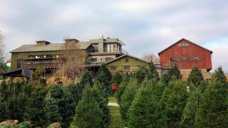 Watts Christmas Tree Farm (Photo Courtesy of Traders Point Creamery Facebook page)