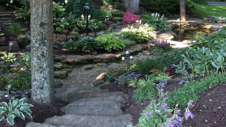 Avon Gardens ravine with rock steps