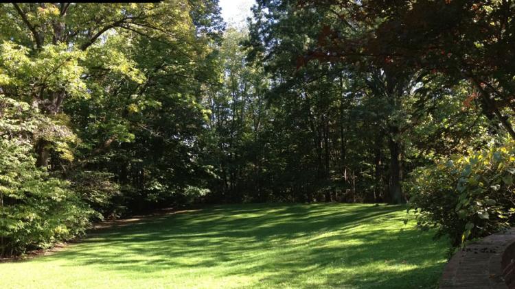 About 5 miles of trails wind through Blanton Woods in Danville