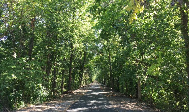 Vandalia Trail