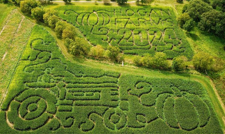 Hogan Farms 2024 corn maze