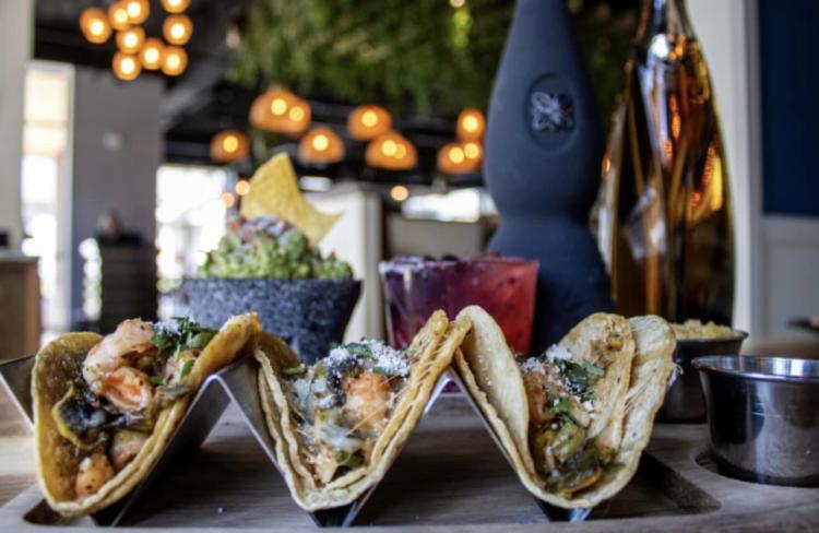 Fresh, inviting menu items from Tlahcos