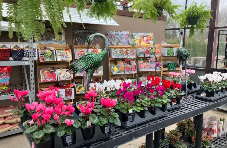 McCammon's Irish Market in Brownsburg