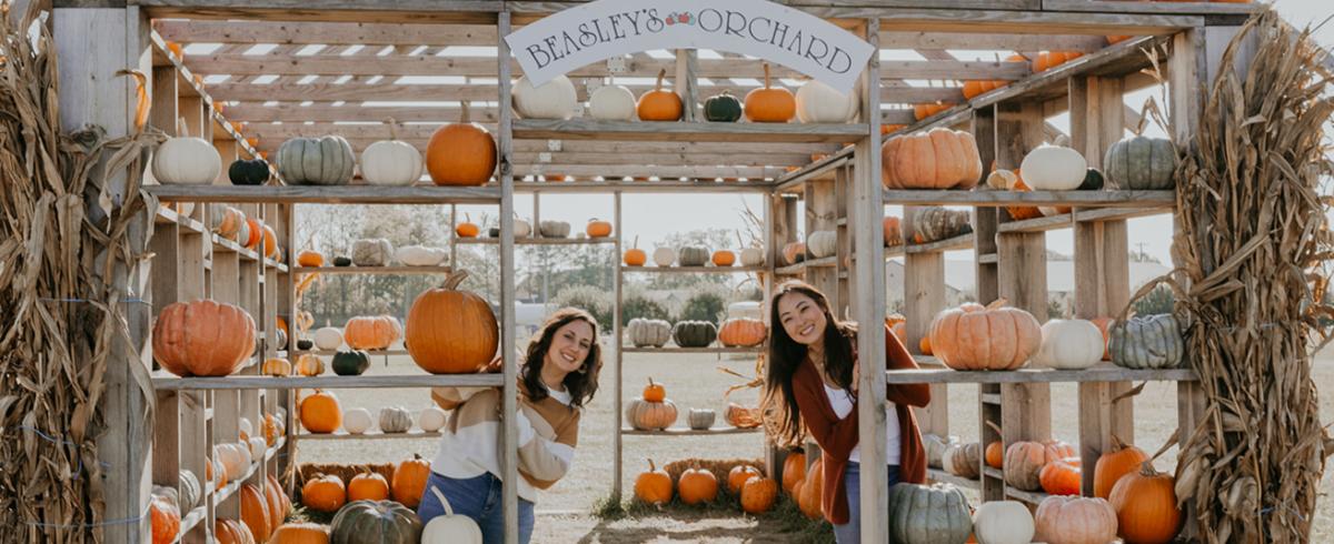 Beasley's Orchard Pumpkin House