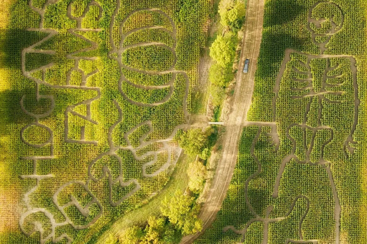 2025 Hogan Farms corn maze