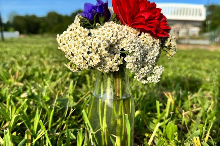 A focused picture of a bouquet arrangement of flowers at Albright Acres Flower Farm