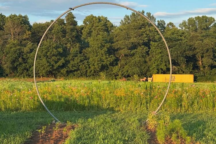 Albright Acres Flower Farm’s Flower Field