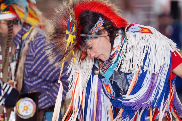 The National Powwow is coming to Danville!