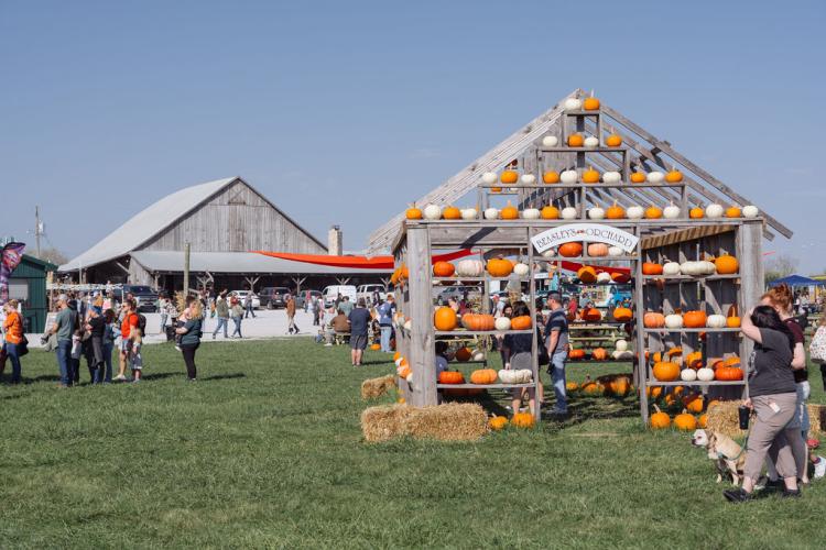 Beasley's Fall Fest