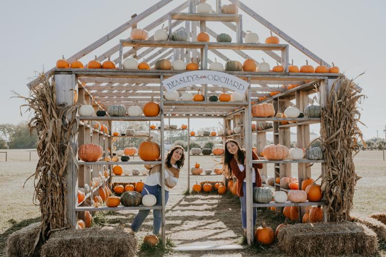 Beasley's Orchard Pumpkin House