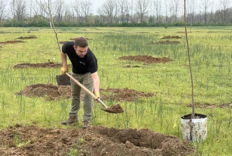 A volunteer helps plant one of the first trees for the Hendricks County Bicentennial Tree Trail.