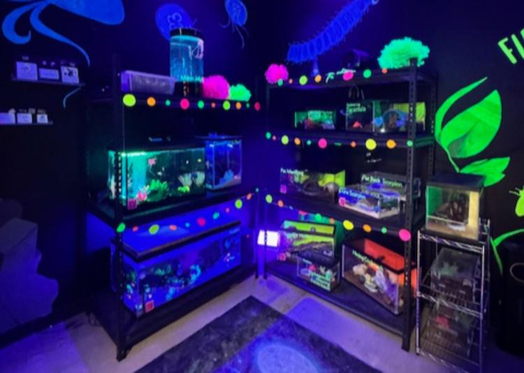 The Glow Lab at Pecar Park