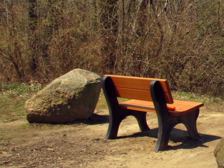 Example of a park bench that businesses can purchase to sponsor the Hendricks County Bicentennial Tree Trail.