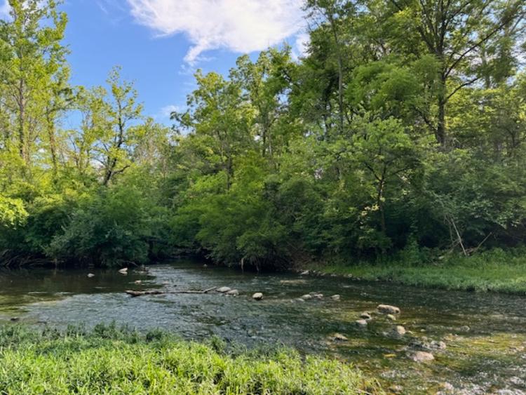 Creek at Washington Township Park in Avon, IN