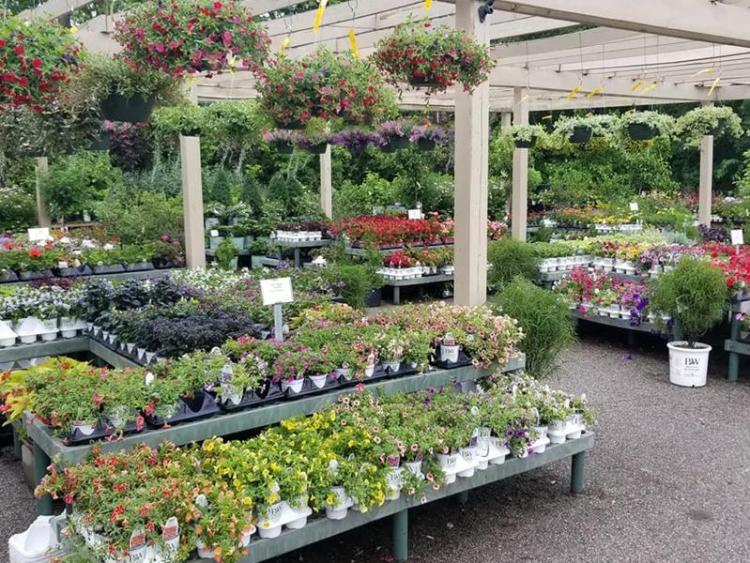 Country Harmony Home & Garden Center