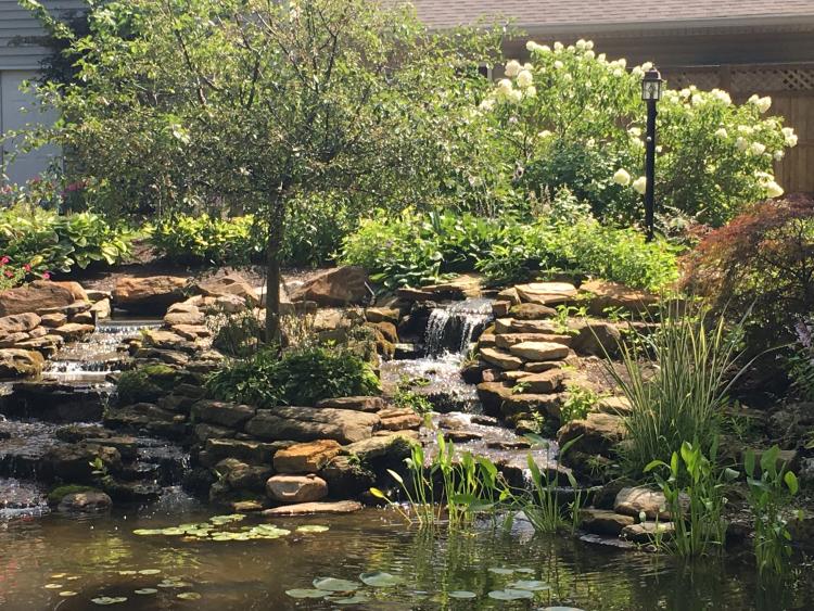 Avon Gardens