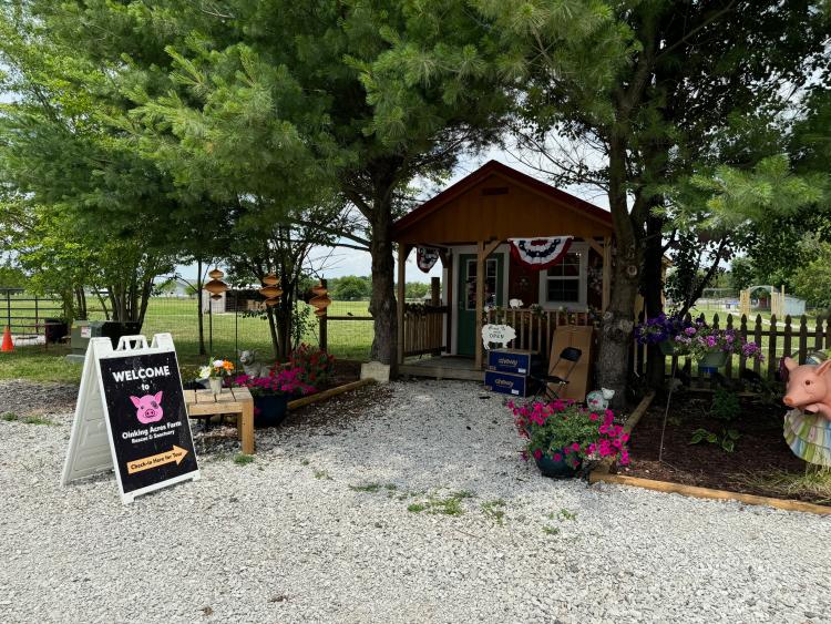 Take a Tour of Oinking Acres