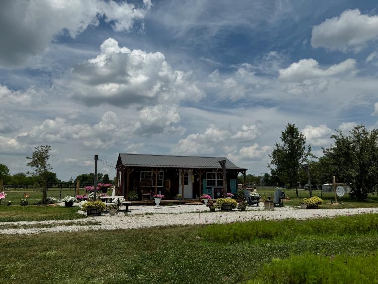 The Back Forty at Oinking Acres