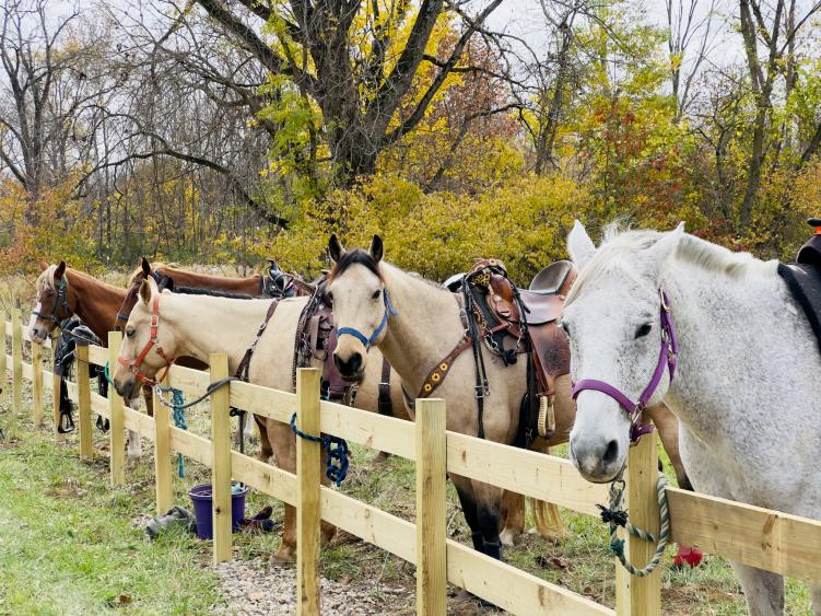 Enjoy the fall colors on horseback at Natural Valley Ranch. (Photo courtesy of Natural Valley Ranch on Facebook)