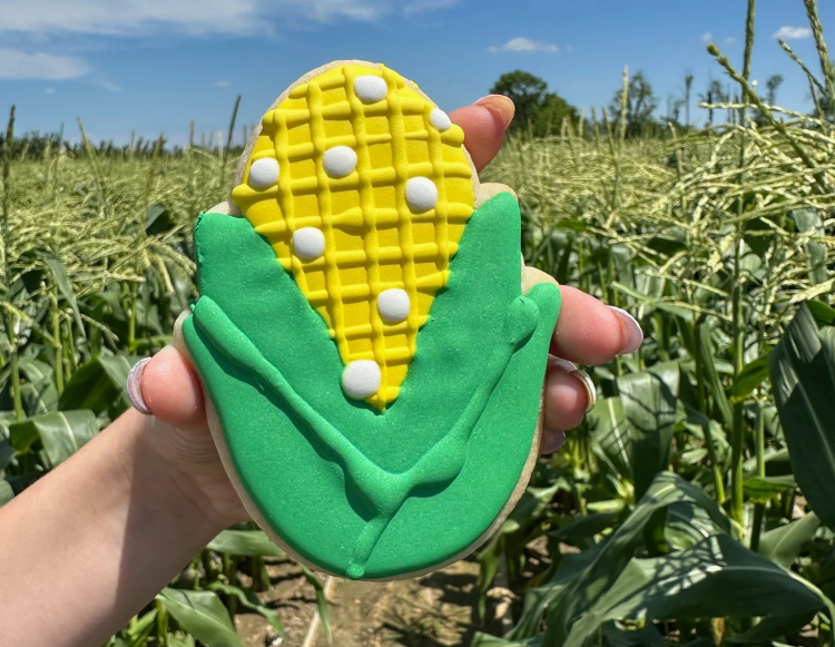 You will find plenty of corn-inspired activities during the festival