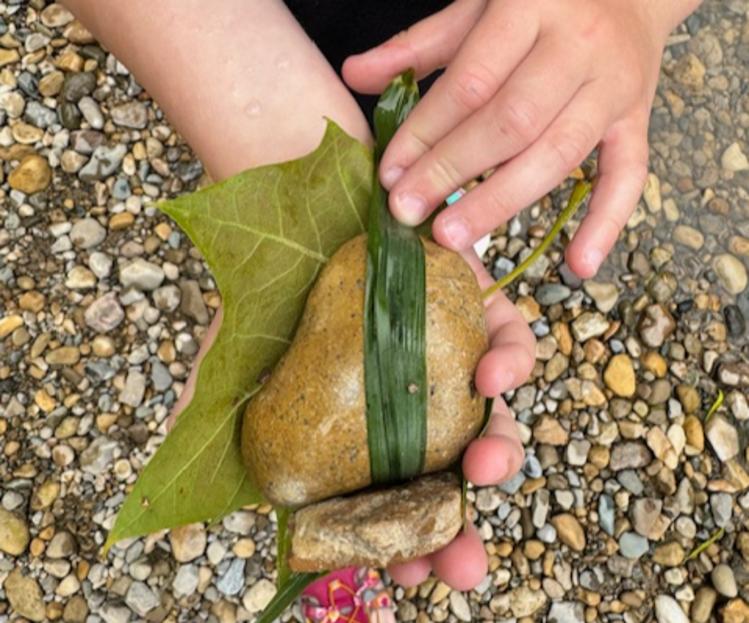 Exploring Nature While Out Creek Stomping